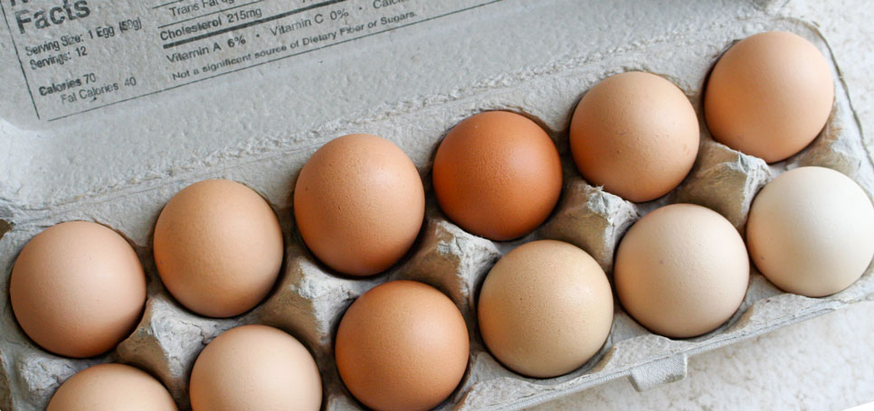 eggs