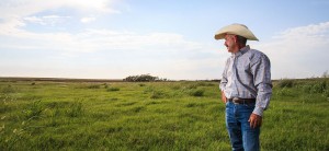 Farmer standing in field