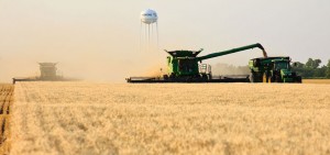 Oklahoma wheat harvest