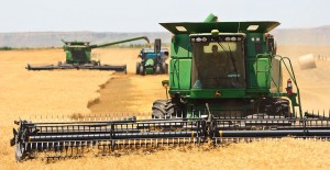 Wheat harvest in Oklahoma